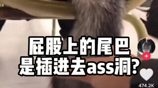 Jadi, sebenarnya untuk apa ekor di belakang pantat manusia? Ini adalah video yang menarik perhatian