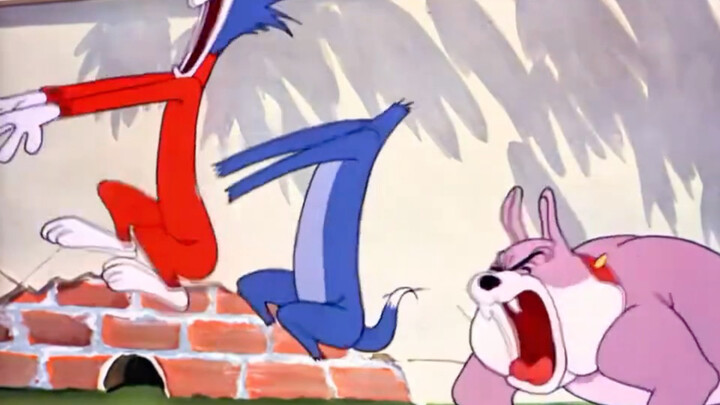 Tom was so scared his clothes almost fell off, hahaha!
