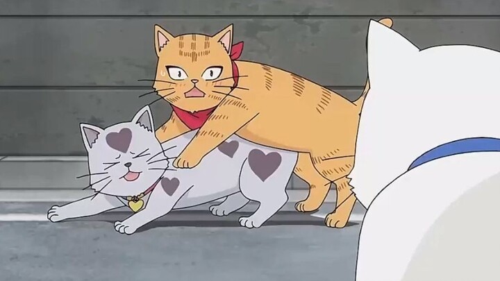 Dendam merebut istri tak bisa ditoleransi—hari ini kita selesaikan semua utang lama dan baru sekalia