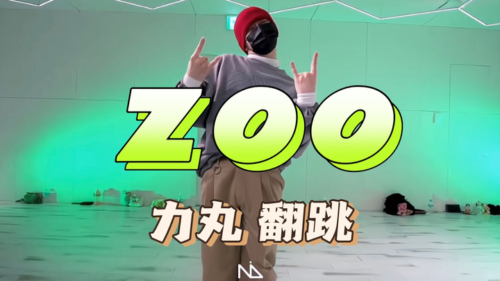 好爽的ZOO翻跳！舞姿随着男女part转换！【力丸】