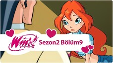 Winx Club - Sezon 2 Bölüm 9 - Profesör Avolon'un Sırrı