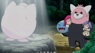 【宝可梦】胖丁跟着小智来到阿罗拉..当熊神遇上胖丁..