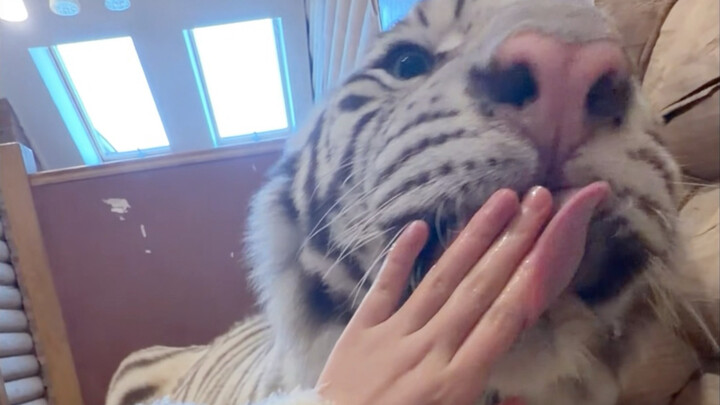 🦓: Right now I'm just barely half full.