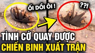 Phát hiện TỔ MỐI DƯỚI ĐẤT, thanh niên quay được CLIP THÚ VỊ khi trời sắp mưa | Tin 3 Phút