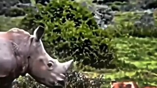 "Inventarisasi empat indera utama penindasan" "Rasa penindasan" terlalu kuat