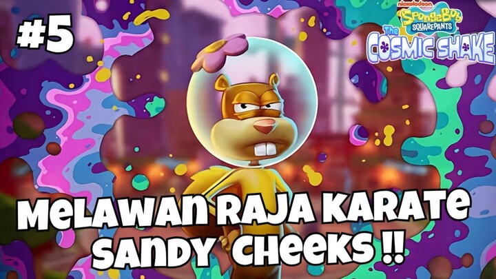 MELAWAN RAJA KARATE SANDY CHEEKS !! - SPONGEBOB SQUAREPANTS : THE COSMIC SHAKE INDONESIA (PART5)