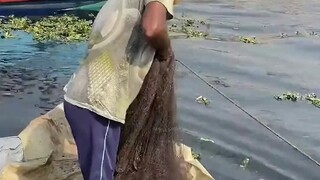 Tại sao sông Hằng được gọi là sông mẹ của Ấn Độ? Hãy thả lưới và bạn sẽ hiểu