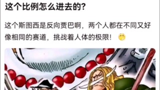 这个比例怎么进去的？。海贼王