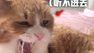 小咪：考试结束后，我和姜阿姨（针对我年年复读的问题）进行一次深刻的谈话...