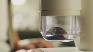 Kiple Coffee Grinder