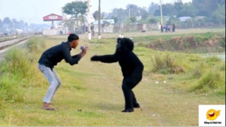 (P2) Giả Dạng Thành Khỉ Và Hù Dọa Người Dân Và Cái Kết :) #Prank