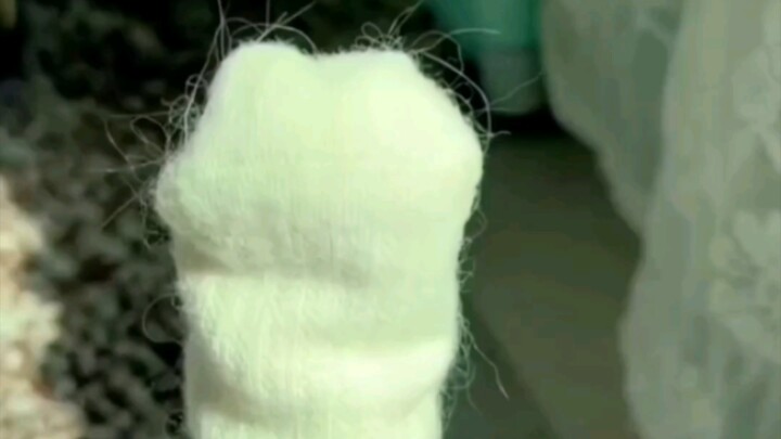 Sự quyến rũ từ đôi bàn chân ngọc ngà của mèo con