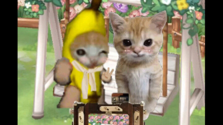 Khi anh em có bạn gái