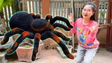 Changcady review con nhện mô hình điều khiển từ xa