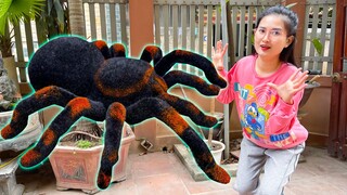 Changcady review con nhện mô hình điều khiển từ xa