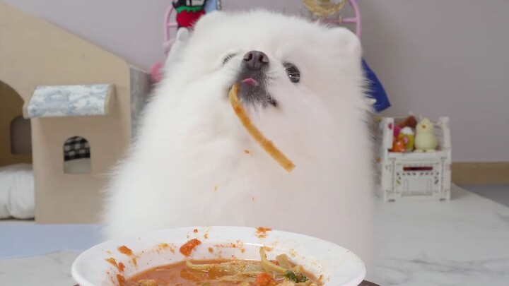Anak anjing yang menyedot mie terlalu menggemaskan!
