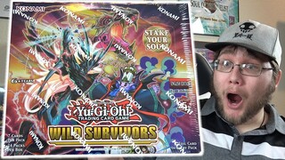 KONAMI"S NEW! Yu-Gi-Oh! Wild Survivors Booster Box Opening