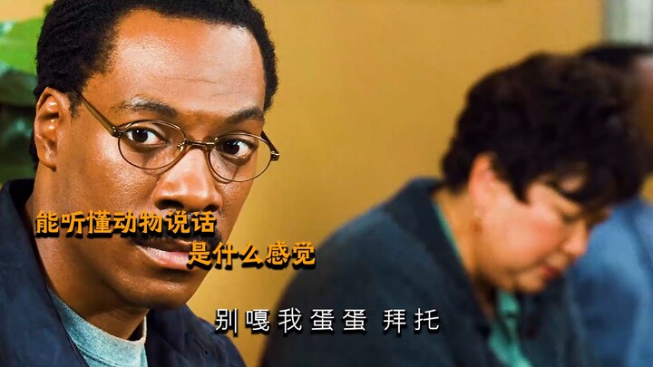 能听懂动物说话是什么体验？别嘎我蛋蛋，拜托