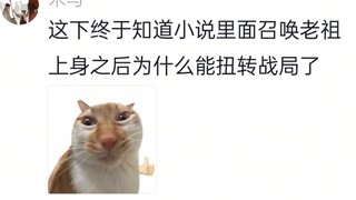 由于它一直欺负妹妹，然后我只能教妹妹格斗！