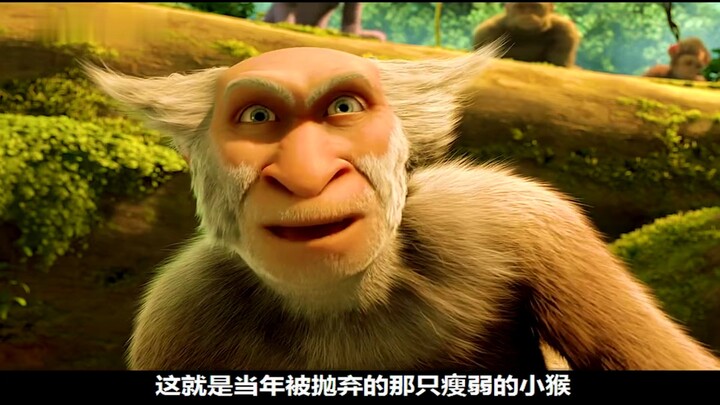 猴王的儿子出生了，强壮的当王，瘦小的喂狼。