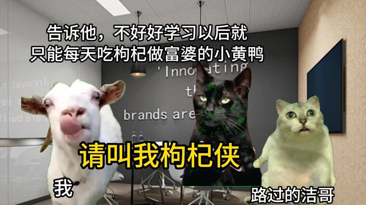 【Meme kucing】Istriku curiga aku lemah jadi membelikanku banyak sekali biji goji