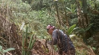 mag tanim ay Hindi bero 💪💪💪