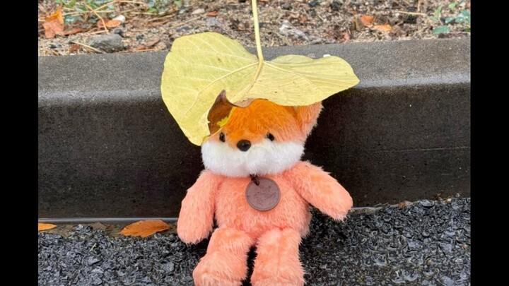 Người đáng yêu vẫn còn rất nhiều đấy!