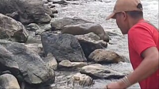 cast net fishing in Nepal | himalayan trout fishing with hand made cast net |