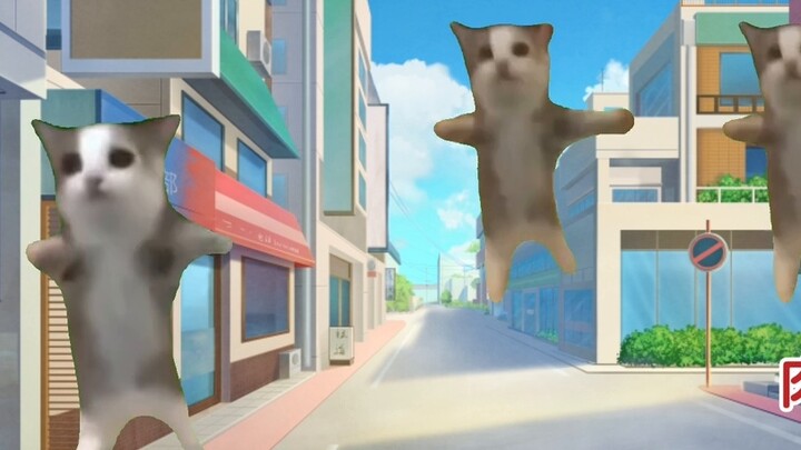 [Meme mèo của Yinsan] Người đồng đội mới này có lá số tử vi khác