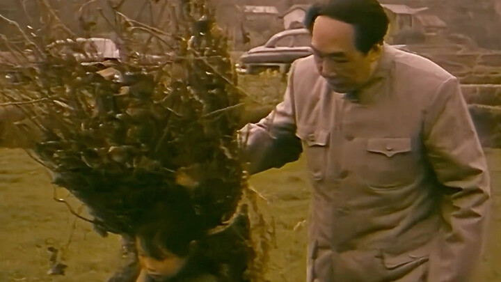 At the age of 57, Chairman Mao once again received devastating news.