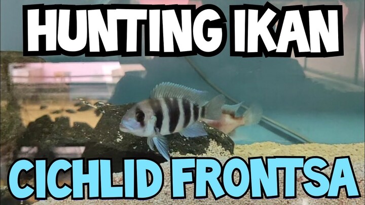 MURAH SIH TAPI KURANG