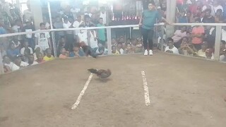 win..