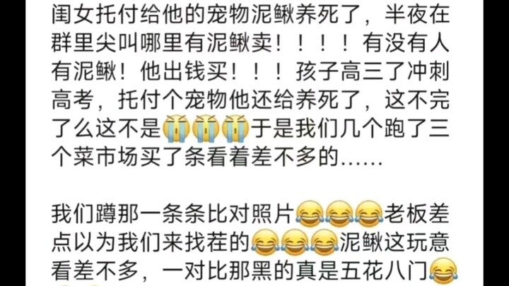 As expected, you shouldn’t let your parents help take care of your pet! Netizen: Came home and was t