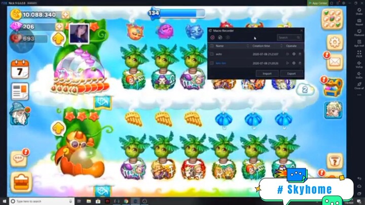 Chim chóc trên chời