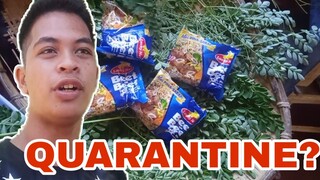 QUARANTINE Vlog😊