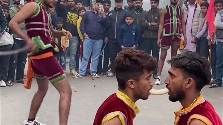 【ชีวิตประจำวันสุดฮาของสิ่งมีชีวิตบนโลก #241】