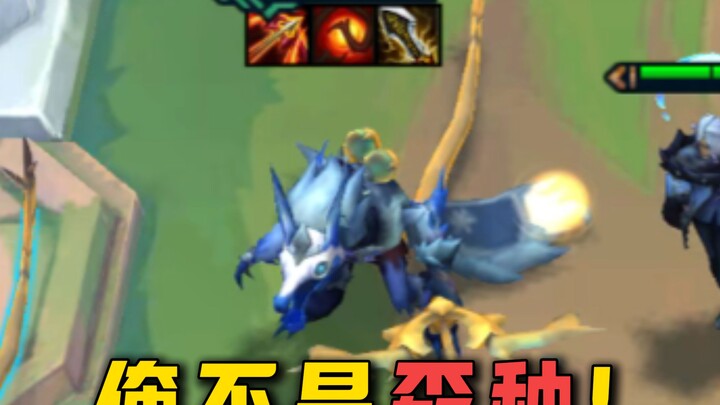 [Class Talk] "Four-Star Big Rat"