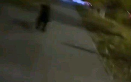 Don't come over!