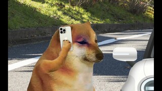 الزوجة: أنت حقًا ذكي جداً
