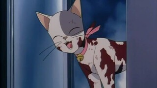 【马丁】找猫找出一具尸体，就藏在警察眼皮子底下，凶手逆天的心理素质