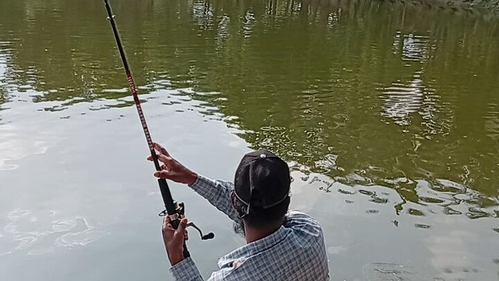 মাছ সিকারের ভিডিও