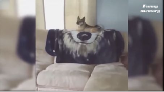 vid50- giải trí cuối tuần cùng boss