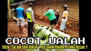 TREN "SALAM DARI BINJAI", PULUHAN POHON PISANG RUSAK ❓ | CHOCHOT UALAH 98