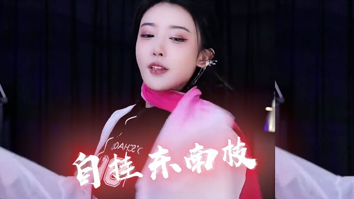 【豚子姐】自 挂 东 南 枝