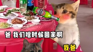 小时候陪我爸去吃席