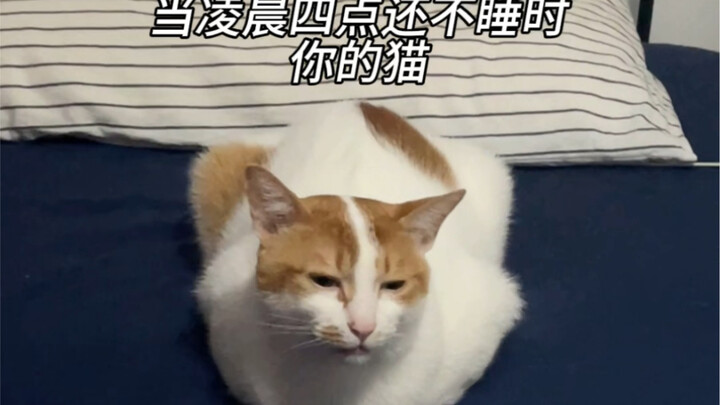 I finally managed to catch this shot!