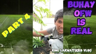 hardinerong Hari 👑 4#vlog #philippines #singapore #gardening