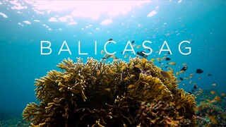 Balicasag Island Underwater // Nikon D850 4K Travel Video