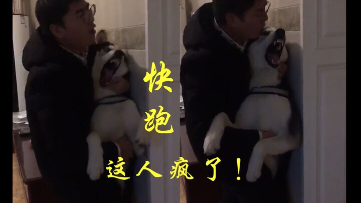二哈和主人总归是要先疯一个的