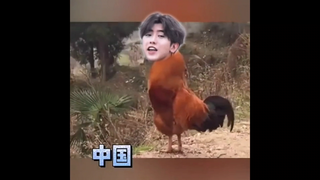 盘点不同国家的鸡叫声。